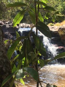 Pequena cachoeira deságua em lagoa na região do Lago Norte