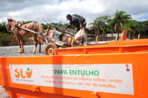 Papa-entulho Guará